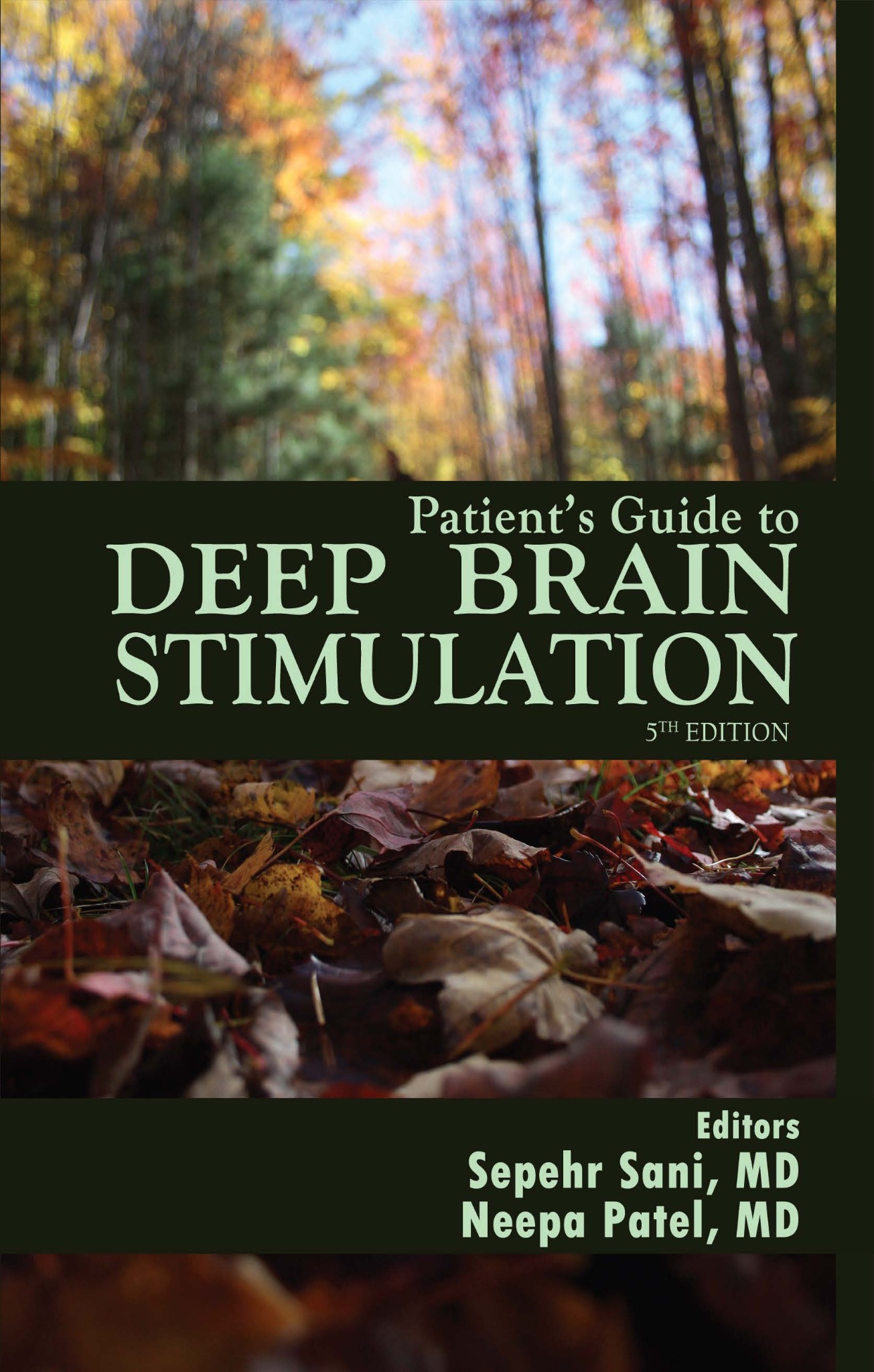 Team photo placeholder